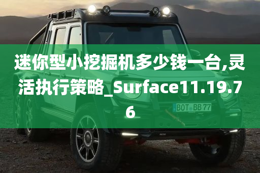 迷你型小挖掘机多少钱一台,灵活执行策略_Surface11.19.76