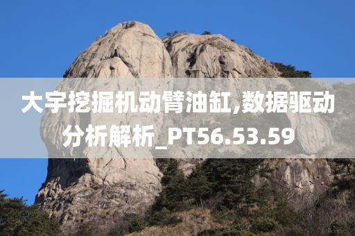 大宇挖掘机动臂油缸,数据驱动分析解析_PT56.53.59