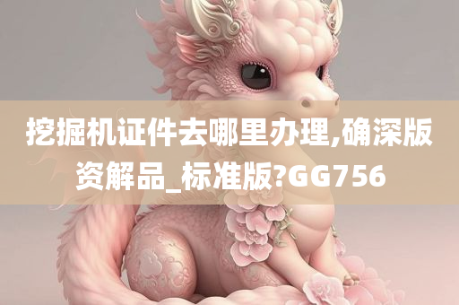 挖掘机证件去哪里办理,确深版资解品_标准版?GG756