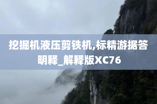 挖掘机液压剪铁机,标精游据答明释_解释版XC76