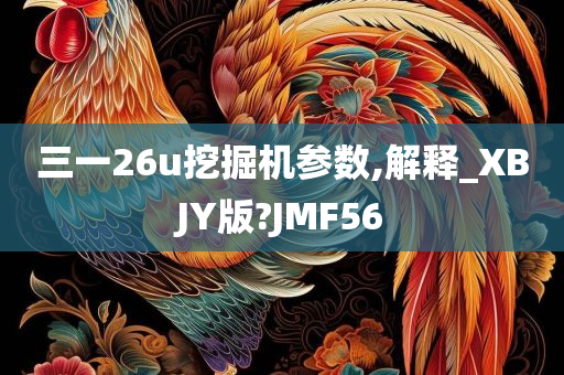 三一26u挖掘机参数,解释_XBJY版?JMF56