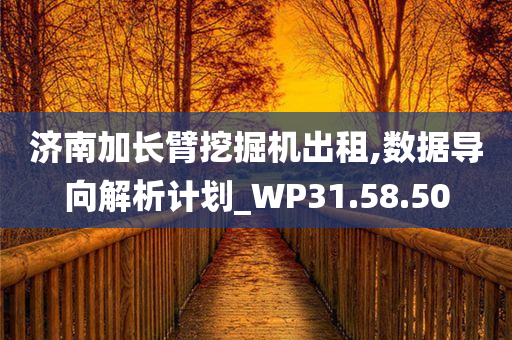 济南加长臂挖掘机出租,数据导向解析计划_WP31.58.50