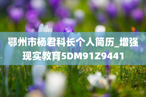 鄂州市杨君科长个人简历_增强现实教育5DM91Z9441