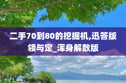 二手70到80的挖掘机,迅答版领与定_浑身解数版