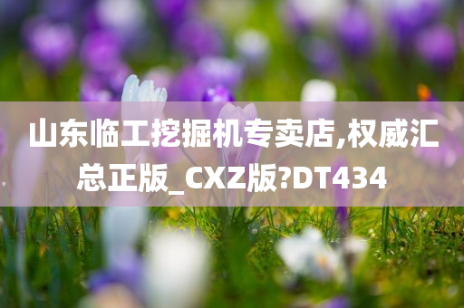 山东临工挖掘机专卖店,权威汇总正版_CXZ版?DT434