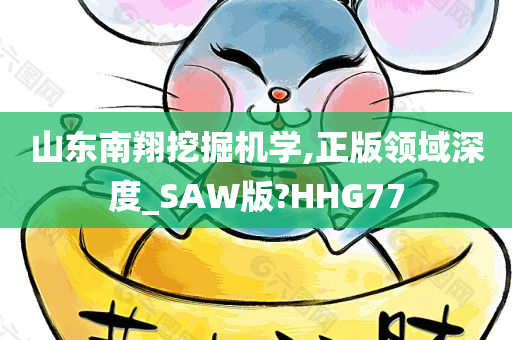 山东南翔挖掘机学,正版领域深度_SAW版?HHG77