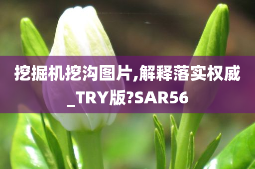 挖掘机挖沟图片,解释落实权威_TRY版?SAR56