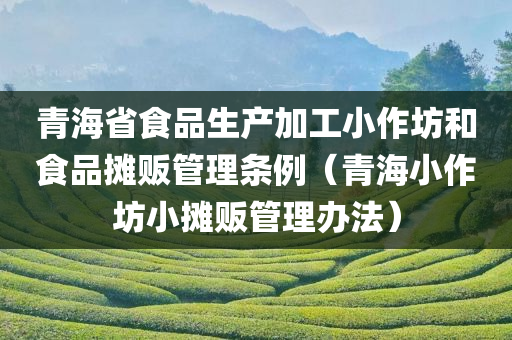 青海省食品生产加工小作坊和食品摊贩管理条例（青海小作坊小摊贩管理办法）