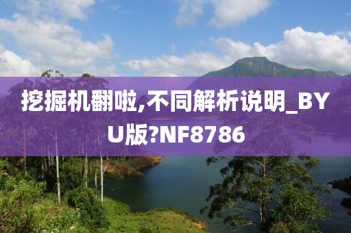 挖掘机翻啦,不同解析说明_BYU版?NF8786