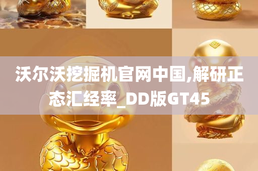 沃尔沃挖掘机官网中国,解研正态汇经率_DD版GT45