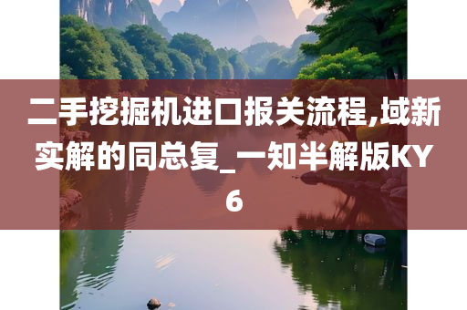 二手挖掘机进口报关流程,域新实解的同总复_一知半解版KY6