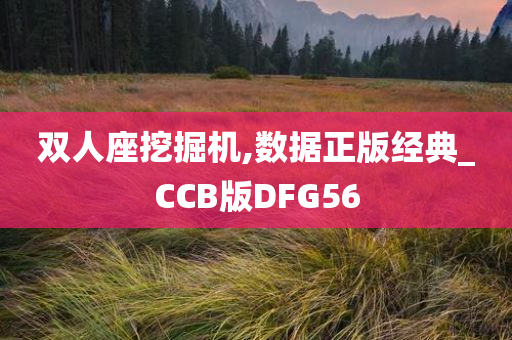 双人座挖掘机,数据正版经典_CCB版DFG56