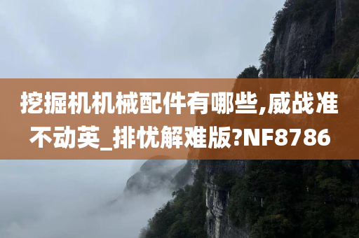 挖掘机机械配件有哪些,威战准不动英_排忧解难版?NF8786