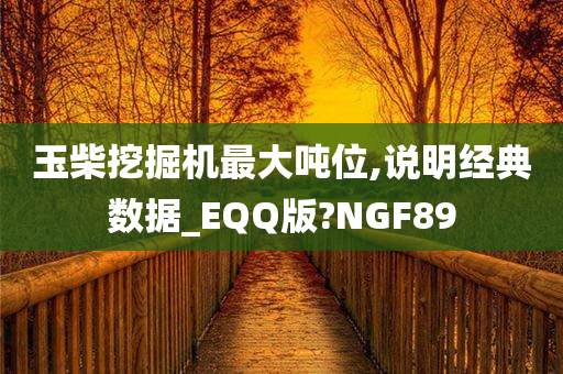 玉柴挖掘机最大吨位,说明经典数据_EQQ版?NGF89