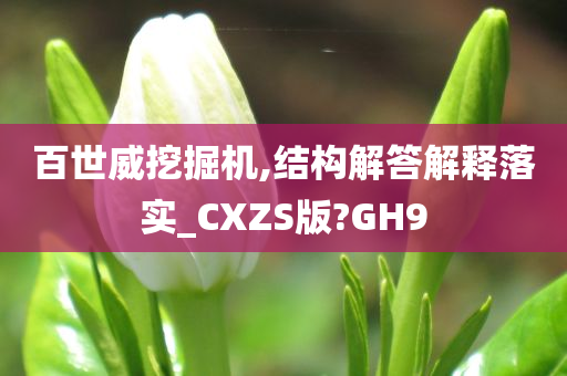 百世威挖掘机,结构解答解释落实_CXZS版?GH9