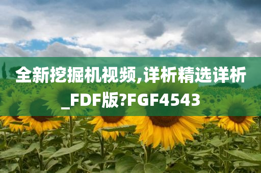 全新挖掘机视频,详析精选详析_FDF版?FGF4543