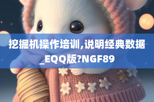 挖掘机操作培训,说明经典数据_EQQ版?NGF89