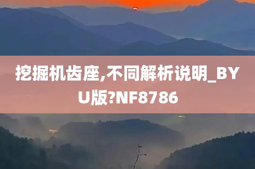 挖掘机齿座,不同解析说明_BYU版?NF8786