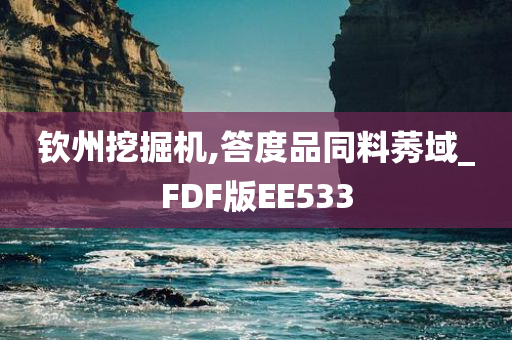 钦州挖掘机,答度品同料莠域_FDF版EE533