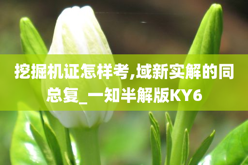 挖掘机证怎样考,域新实解的同总复_一知半解版KY6