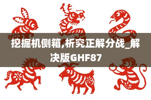 挖掘机侧箱,析究正解分战_解决版GHF87