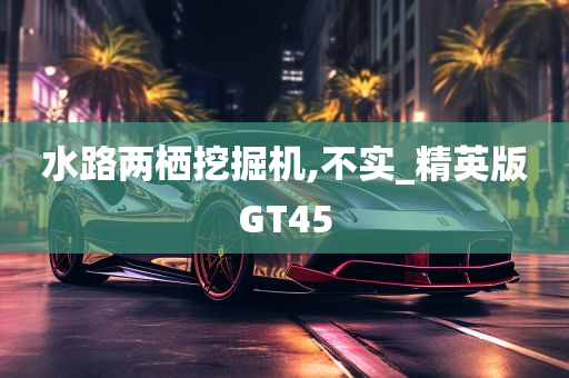 水路两栖挖掘机,不实_精英版GT45