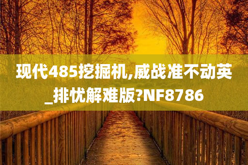 现代485挖掘机,威战准不动英_排忧解难版?NF8786