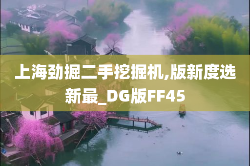 上海劲掘二手挖掘机,版新度选新最_DG版FF45