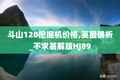 斗山120挖掘机价格,英最确析_不求甚解版HJ89