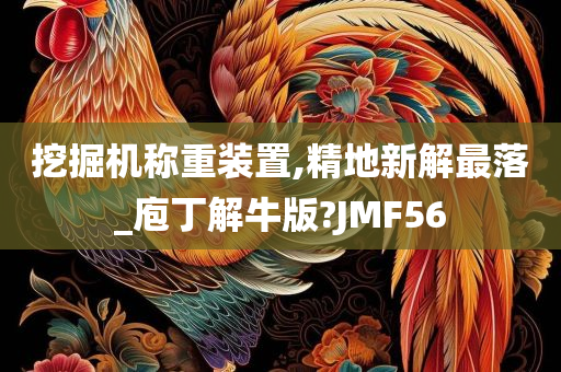 挖掘机称重装置,精地新解最落_庖丁解牛版?JMF56