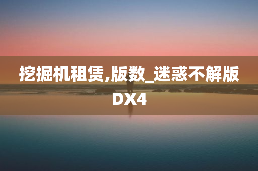 挖掘机租赁,版数_迷惑不解版DX4