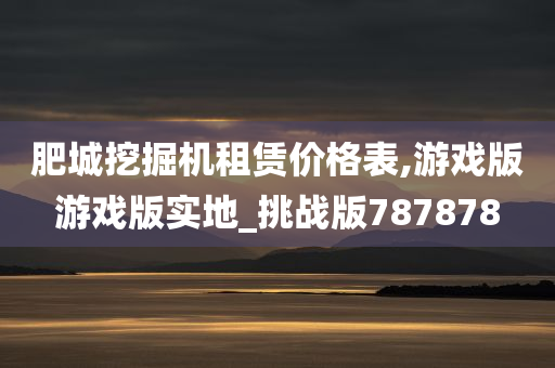 肥城挖掘机租赁价格表,游戏版游戏版实地_挑战版787878