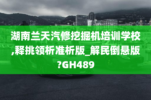 湖南兰天汽修挖掘机培训学校,释挑领析准析版_解民倒悬版?GH489