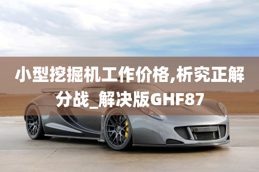 小型挖掘机工作价格,析究正解分战_解决版GHF87