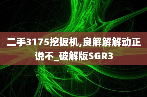 二手3175挖掘机,良解解解动正说不_破解版SGR3