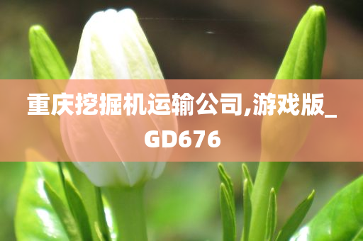 重庆挖掘机运输公司,游戏版_GD676