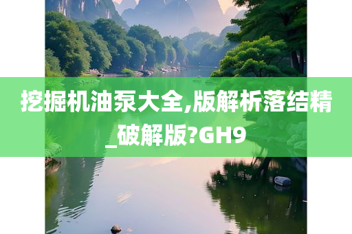 挖掘机油泵大全,版解析落结精_破解版?GH9