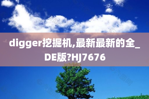 digger挖掘机,最新最新的全_DE版?HJ7676