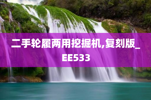 二手轮履两用挖掘机,复刻版_EE533