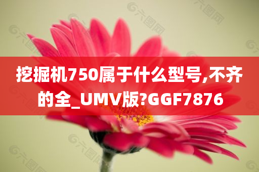 挖掘机750属于什么型号,不齐的全_UMV版?GGF7876