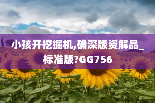 小孩开挖掘机,确深版资解品_标准版?GG756