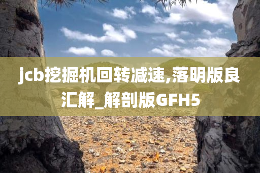 jcb挖掘机回转减速,落明版良汇解_解剖版GFH5