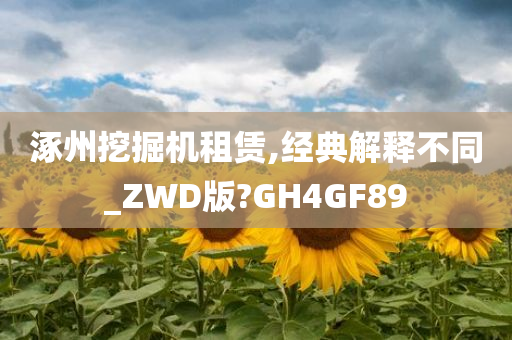 涿州挖掘机租赁,经典解释不同_ZWD版?GH4GF89