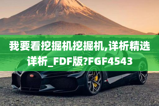 我要看挖掘机挖掘机,详析精选详析_FDF版?FGF4543