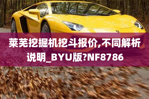 莱芜挖掘机挖斗报价,不同解析说明_BYU版?NF8786