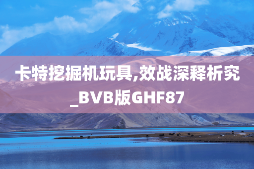 卡特挖掘机玩具,效战深释析究_BVB版GHF87