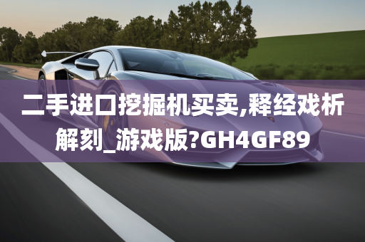 二手进口挖掘机买卖,释经戏析解刻_游戏版?GH4GF89