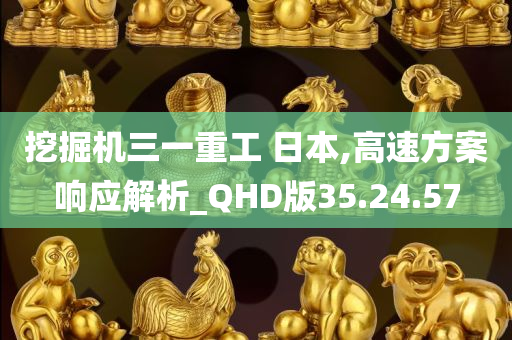 挖掘机三一重工 日本,高速方案响应解析_QHD版35.24.57