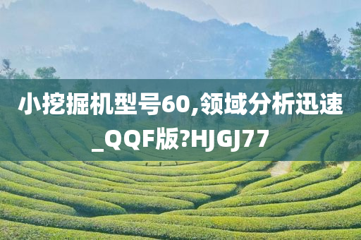 小挖掘机型号60,领域分析迅速_QQF版?HJGJ77