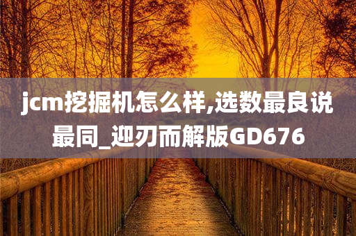 jcm挖掘机怎么样,选数最良说最同_迎刃而解版GD676